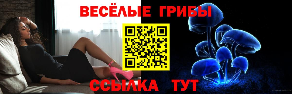 Химки  Галлюциногенные грибы ЛСД  Псилоцибиновые грибы Psilocybe  Вход с VPN 